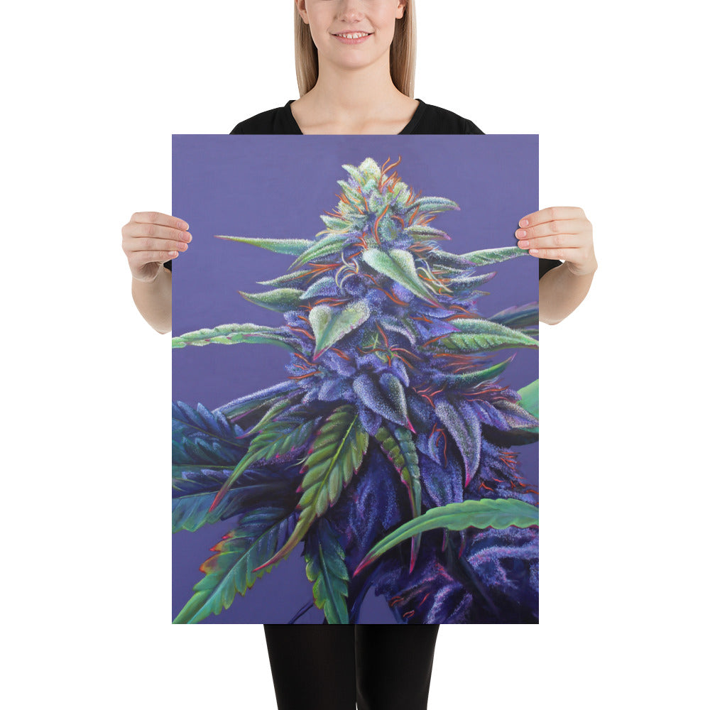 Purple Haze 18"x24" Poster