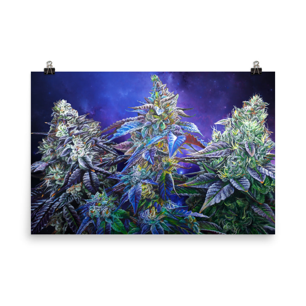 Another Galaxy Cannabis Strain Art Poster – 36x24" Matte Print