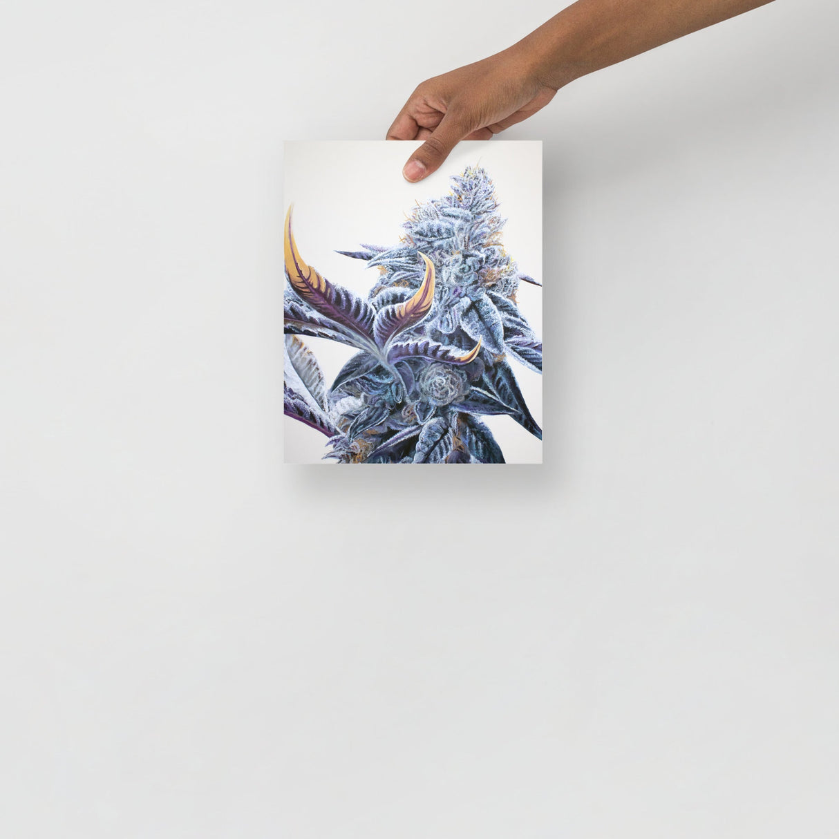 Ice Cream Cake Cannabis Strain Poster – 8"x10" Print