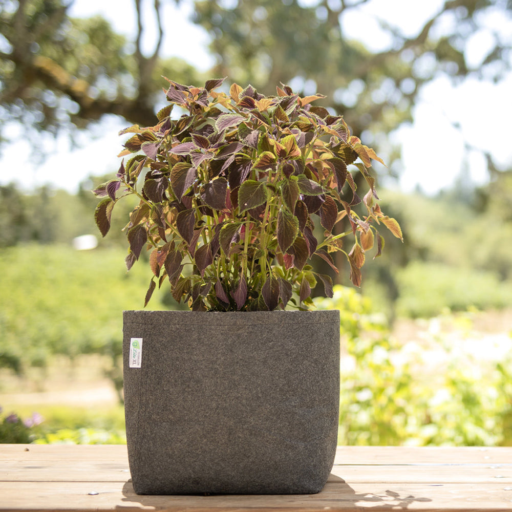 G-Lite XL Fabric Grow Bags