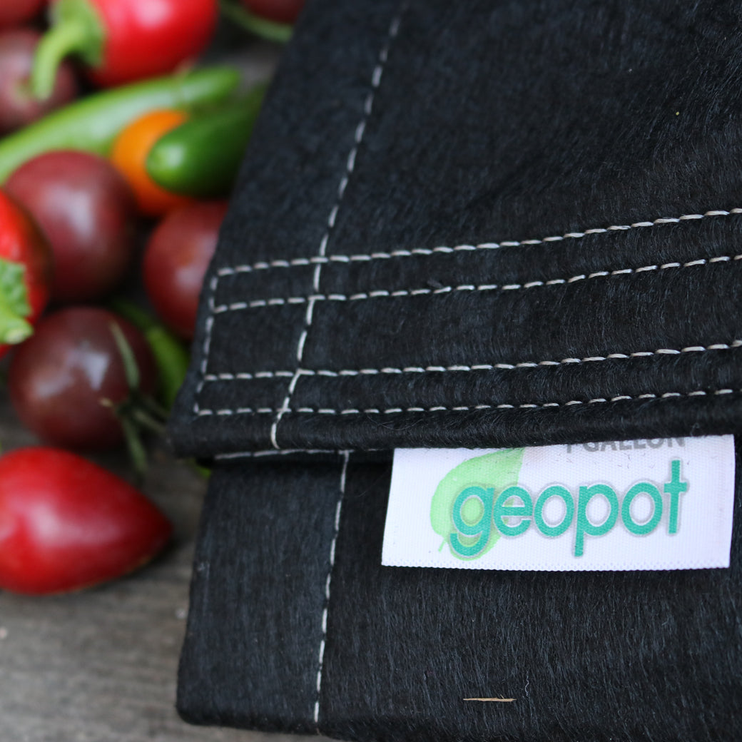 GeoPot Fabric Grow Bags - Black