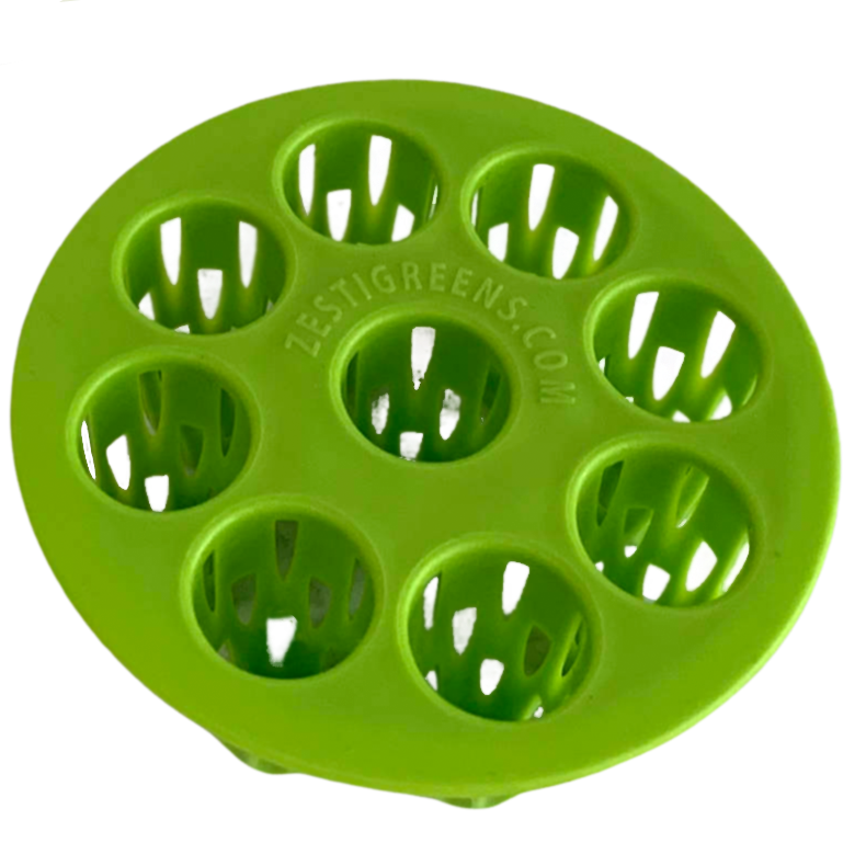 ZestiGreens Green Onion Regrower Kit – Mason Jar Growing Lid