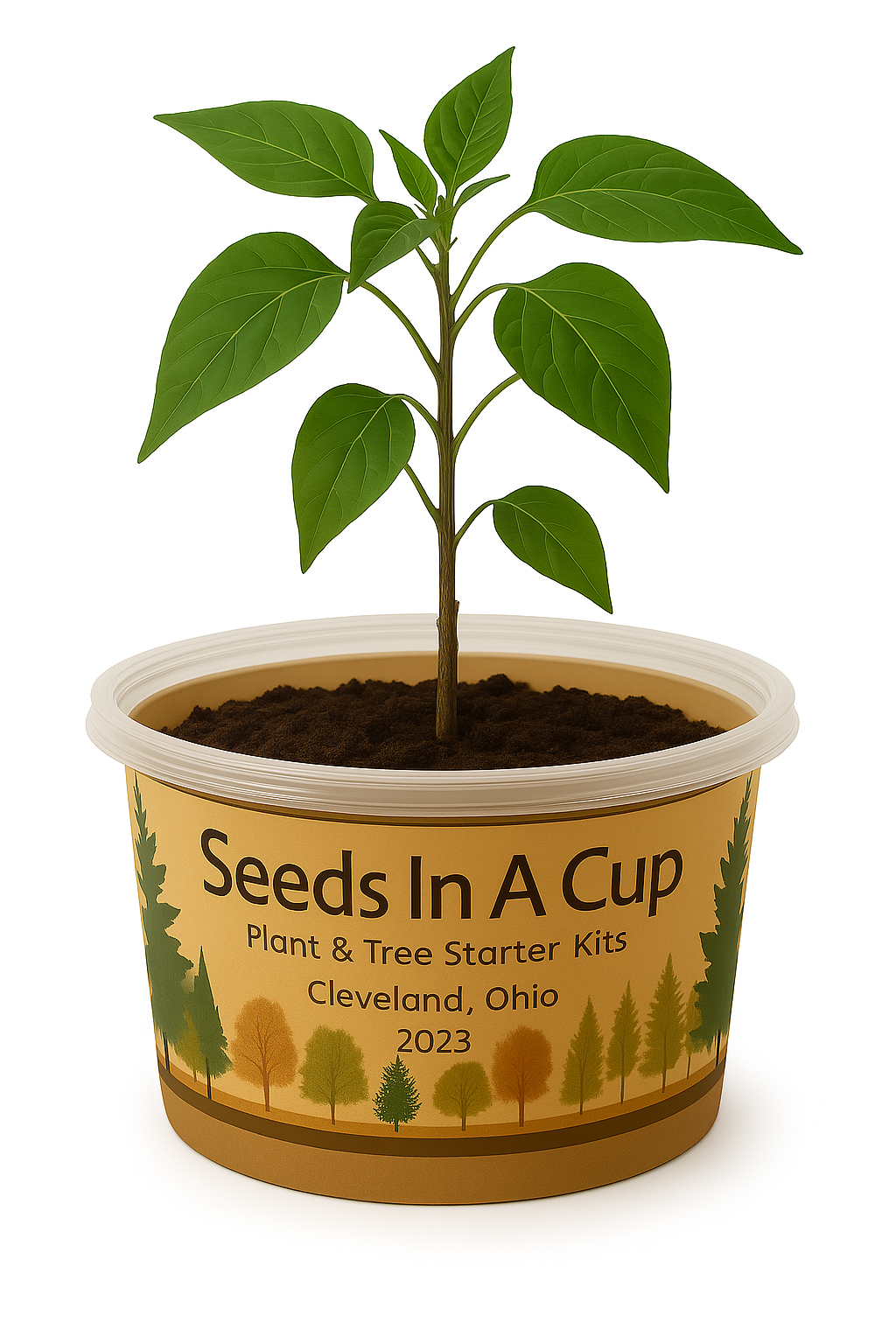 Garden in A Box by Seeds In A Cup® - Choose 10 Vegetable & Herb Kits 50 plus Plant Options To Choose From.