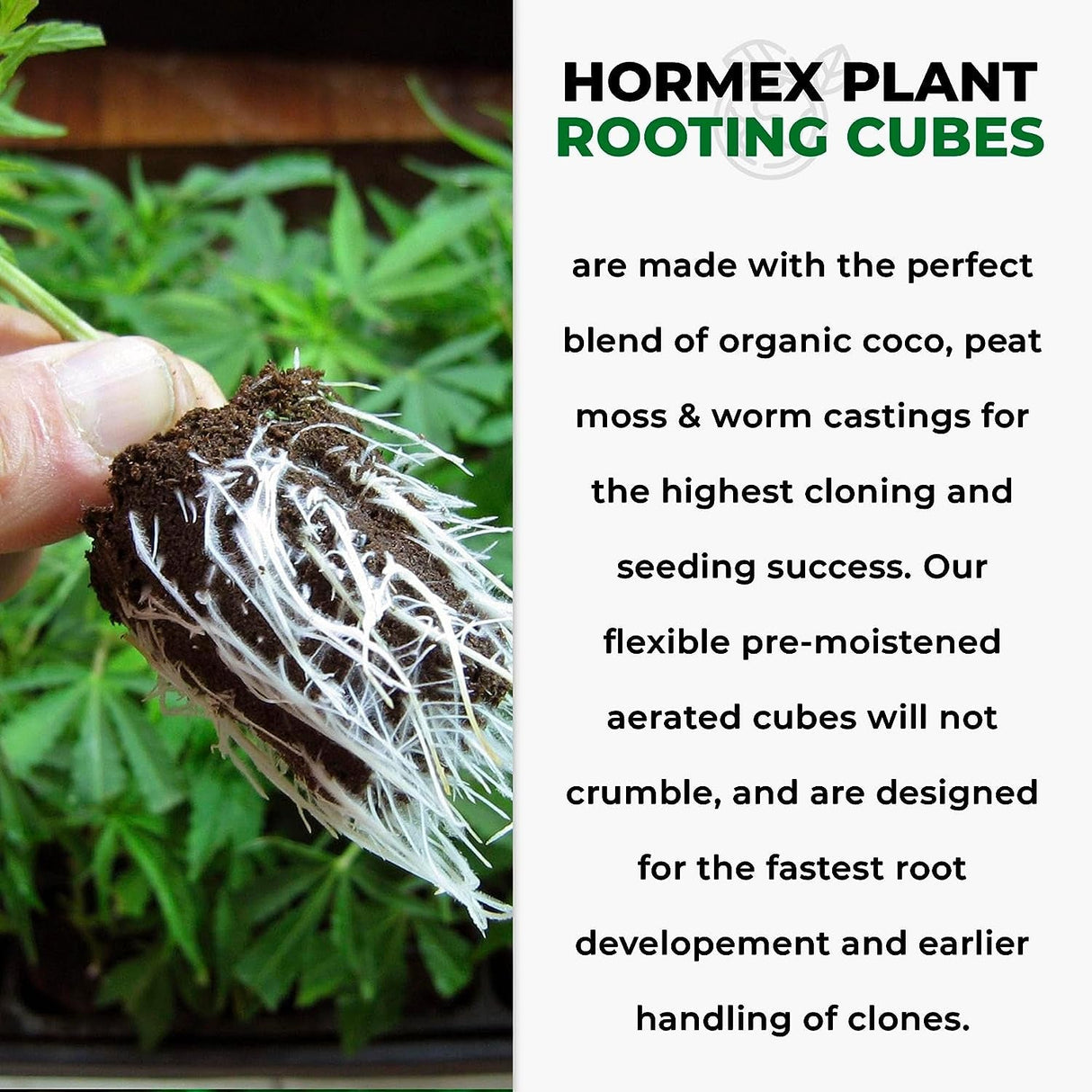 Hormex Rooting Cubes – Coco & Peat Starter Plugs for Cloning & Seeds