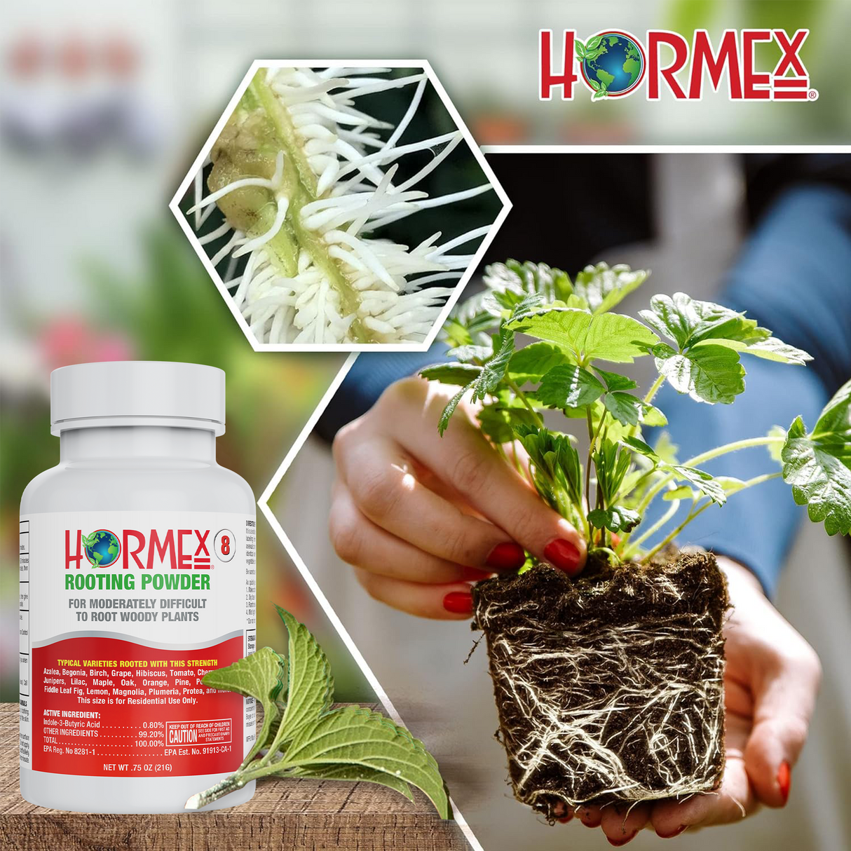 Hormex Rooting Duo – Vitamin B1 Concentrate (8 oz) + Rooting Powder #8 (21g)