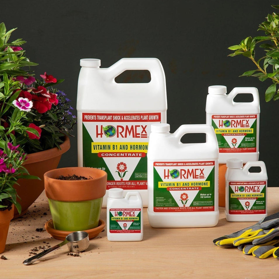 Hormex Vitamin B1 Rooting Hormone Concentrate – Root Growth Stimulator