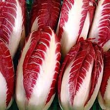 Heirloom Organic Early Treviso Radicchio Seeds, Pack of 10