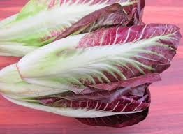 Heirloom Organic Early Treviso Radicchio Seeds, Pack of 10