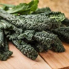 Heirloom Organic Dinosaur Kale Seeds