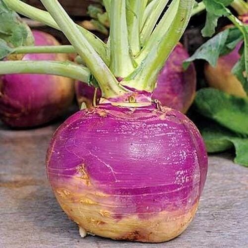 Heirloom Organic American Purple Top Rutabaga Seeds
