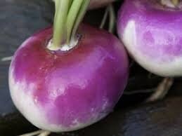Heirloom Organic American Purple Top Rutabaga Seeds