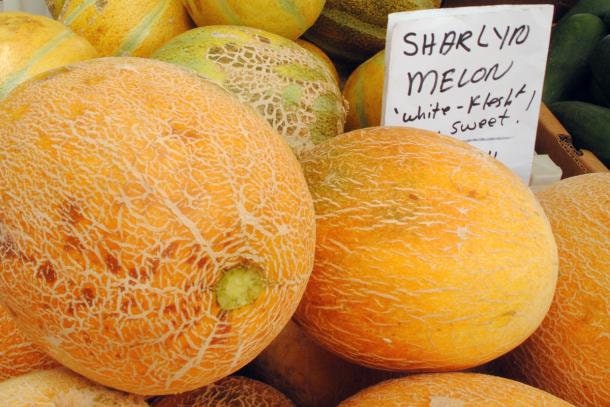 Rare Heirloom Organic Sharlyn Melon Seeds, Pack of 10