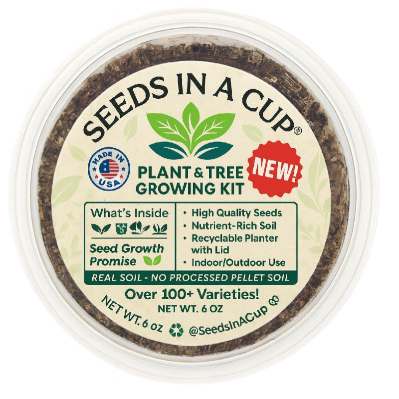 Sugar Maple Tree Grow Kit | Seeds In A Cup®