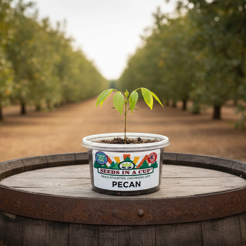 Tree Growing Kit - Choose Your Tree Type | Seeds In A Cup®