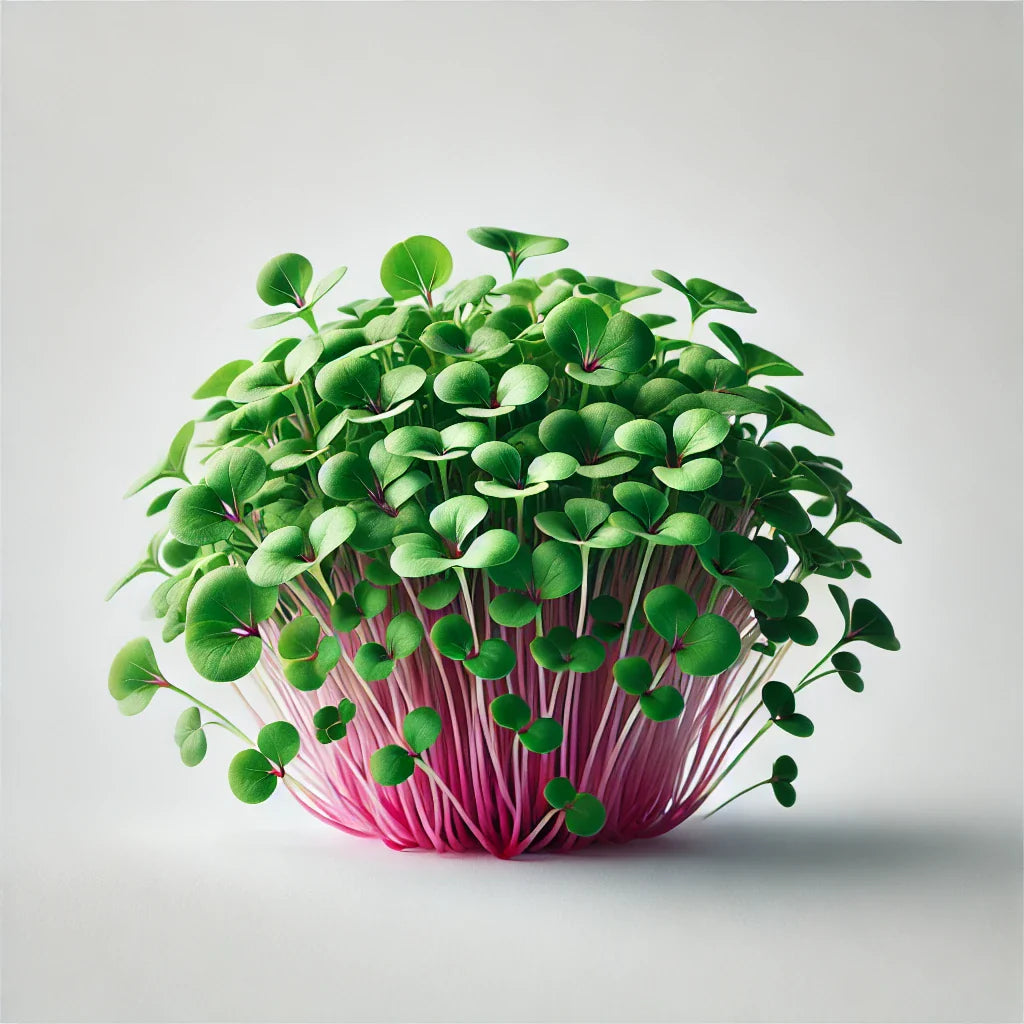 Radish Confetti Mix Microgreens Seeds with Grow Mat