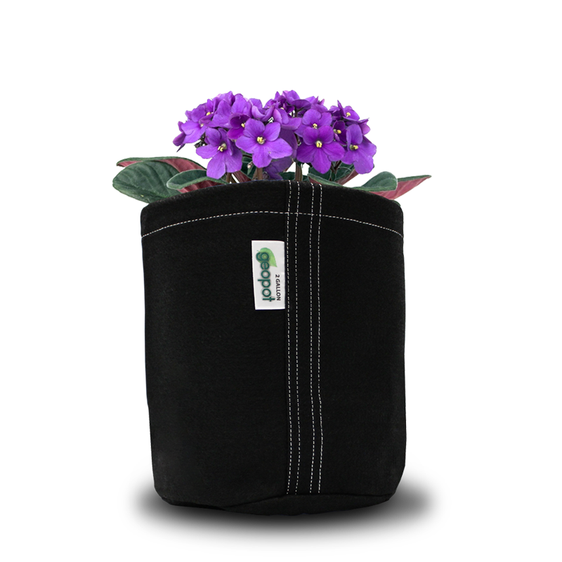 GeoPot Round Grow Bags