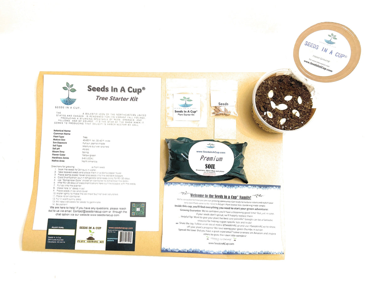 BULK ORDER- Seeds In A Cup | Vegetable & Herb Kit