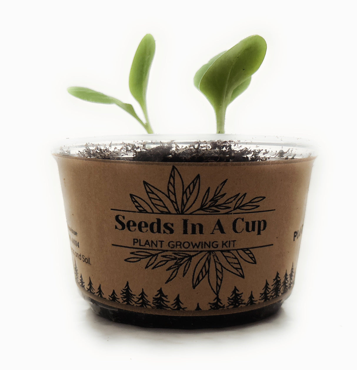 BULK ORDER- Seeds In A Cup | Vegetable & Herb Kit
