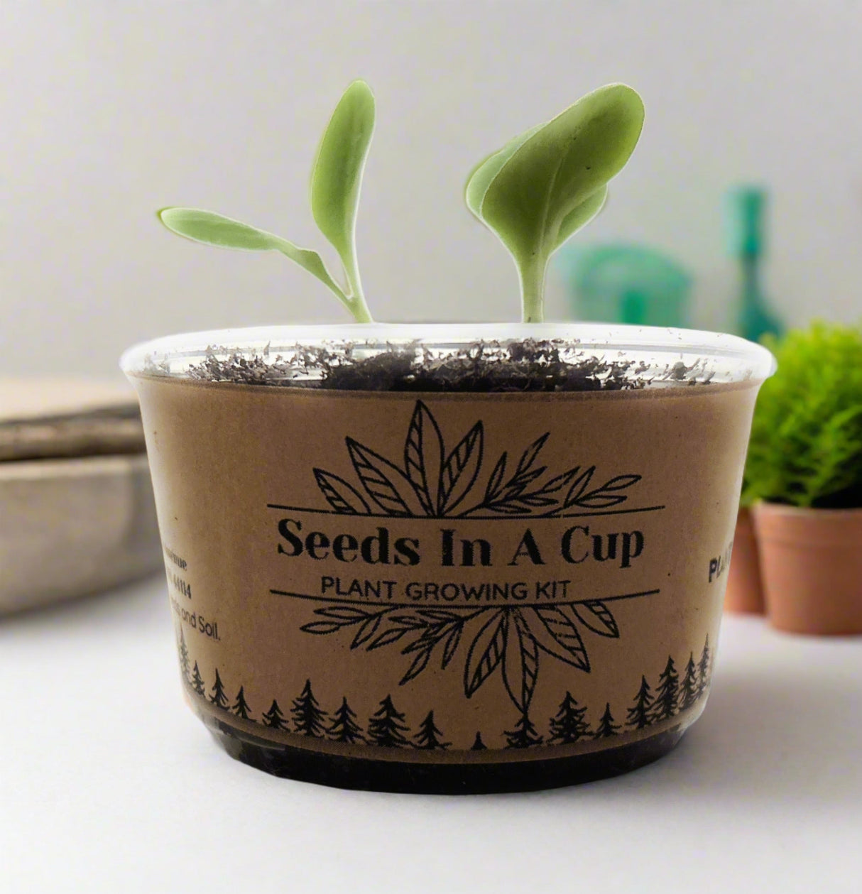 Seeds In A Cup® Original Veggie & Herb Grow Kit