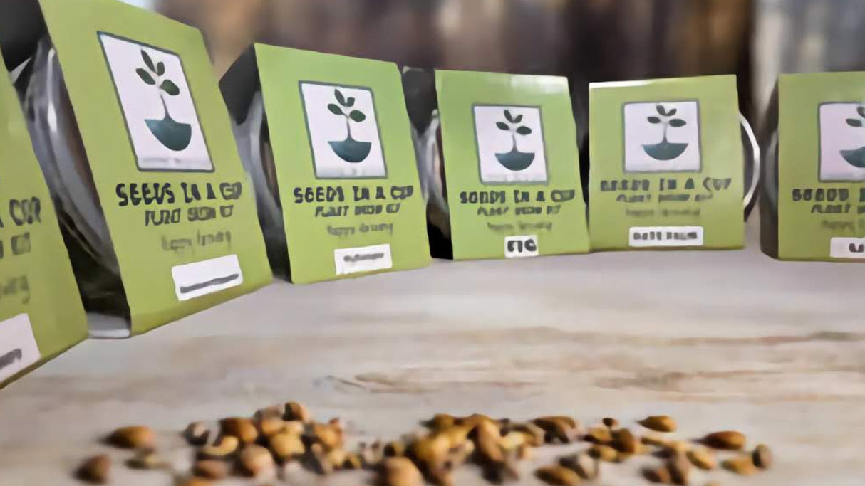 Seeds In A Cup® Original Herb Kit