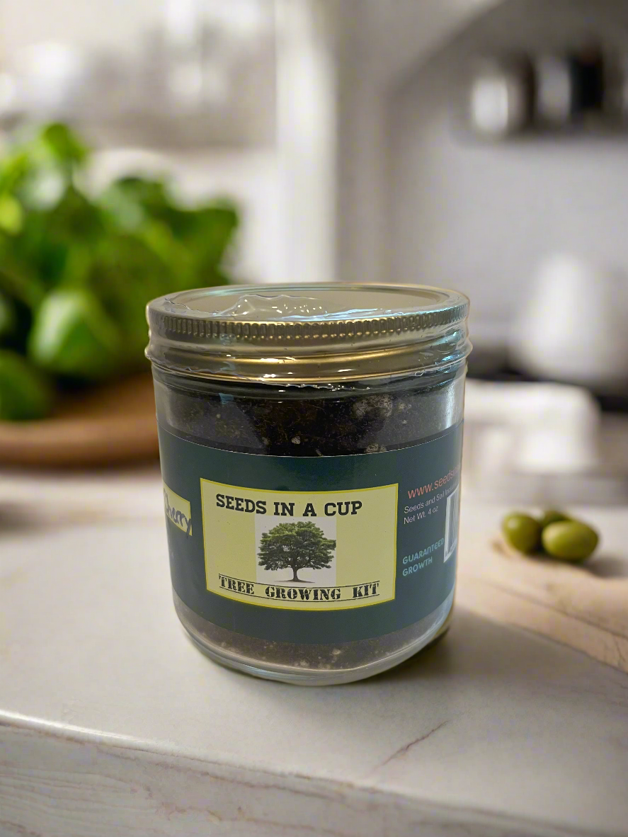 Seeds In A Cup® Original Veggie & Herb Grow Kit