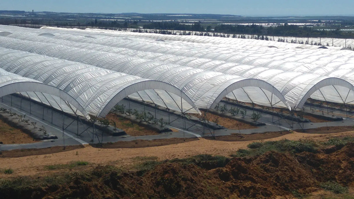 SOLARIG™ 156 Woven Poly Greenhouse Cover – 8 Mil, UV-Resistant