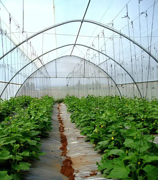 SOLARIG™ 156 Woven Poly Greenhouse Cover – 8 Mil, UV-Resistant