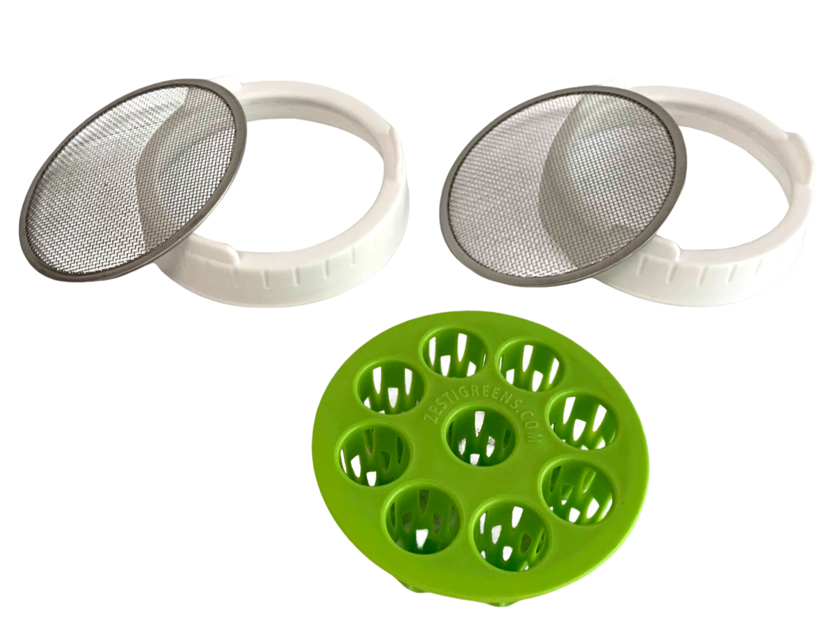 ZestiGreens Mason Jar Sprouting Lids & Green Onion Regrower