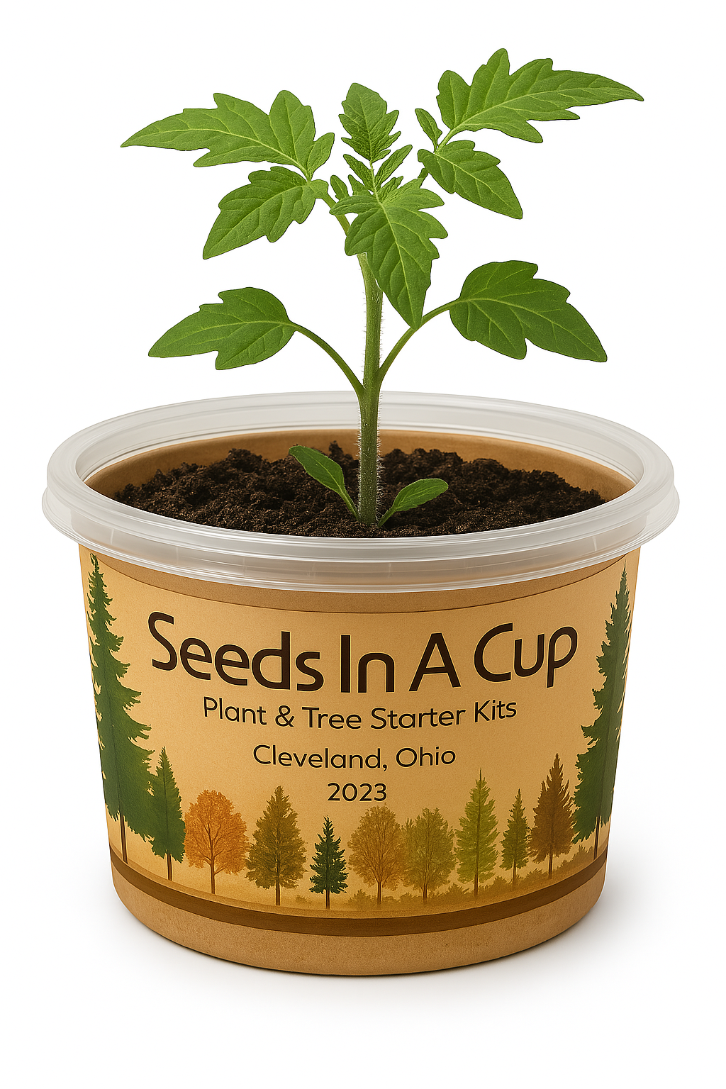 Jalapeño Plant Grow Kit | Seeds In A Cup® |