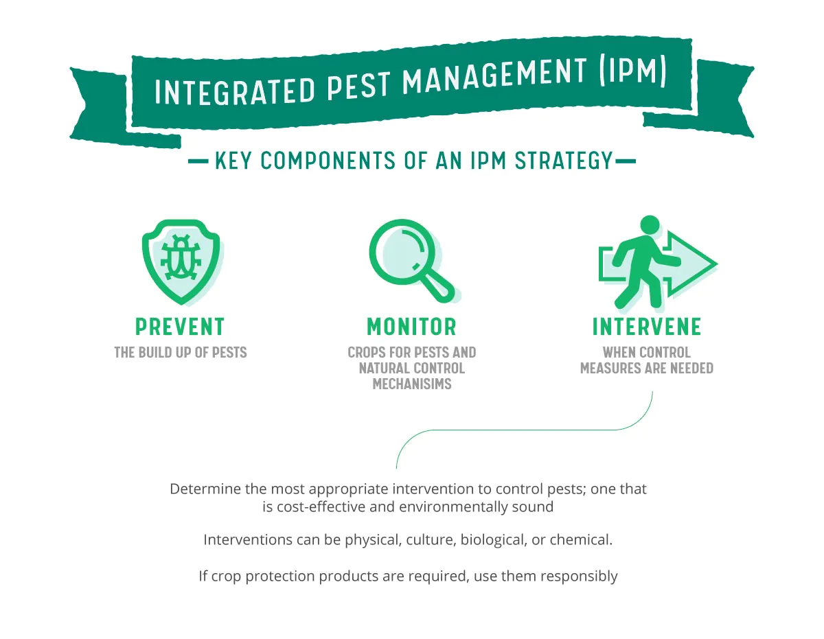 Pest Patrol - Part 1: Integrated Pest Management - An Overview