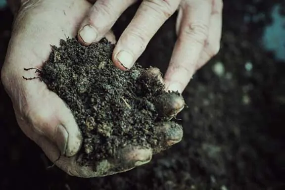 Recharging and Rejuvenating Soil for Reuse