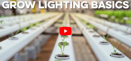 Grow Lighting Basics