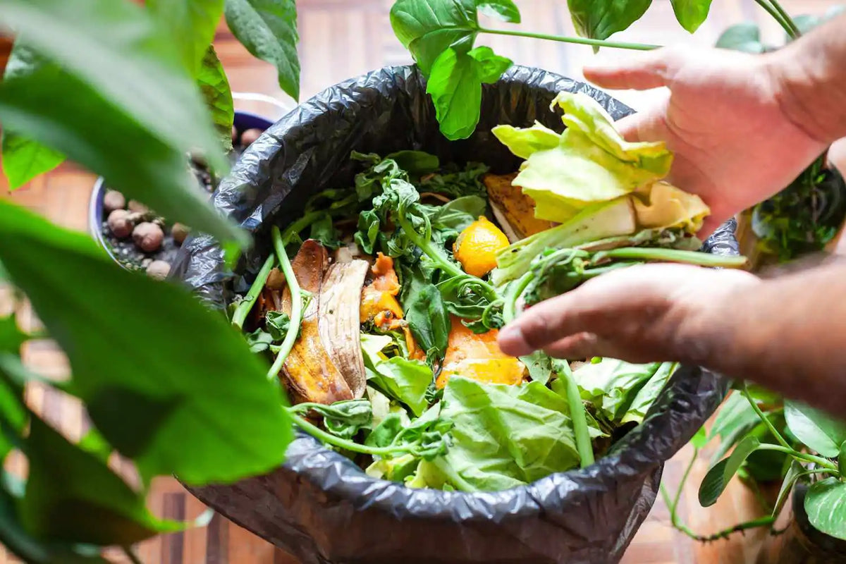 Using Compost Tea in Hydroponics – Monster Gardens