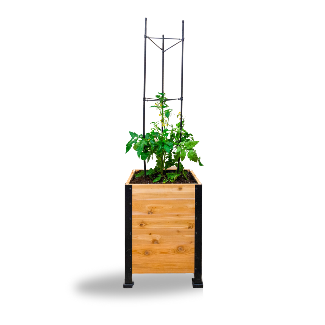 Wooden planter with a plant and metal trellis on a white background