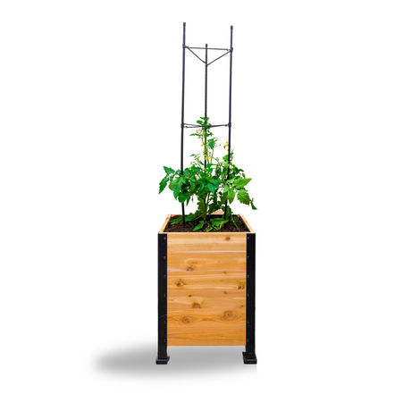 Wooden planter with a plant and metal trellis on a white background