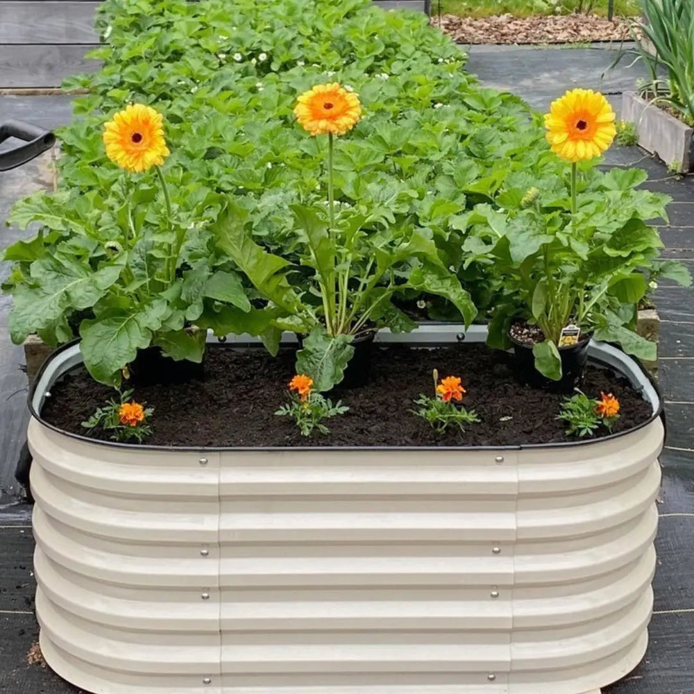 Vegega 17" Tall 3.5x2 Corrugated Raised Garden Bed (2-in-1) v2.0