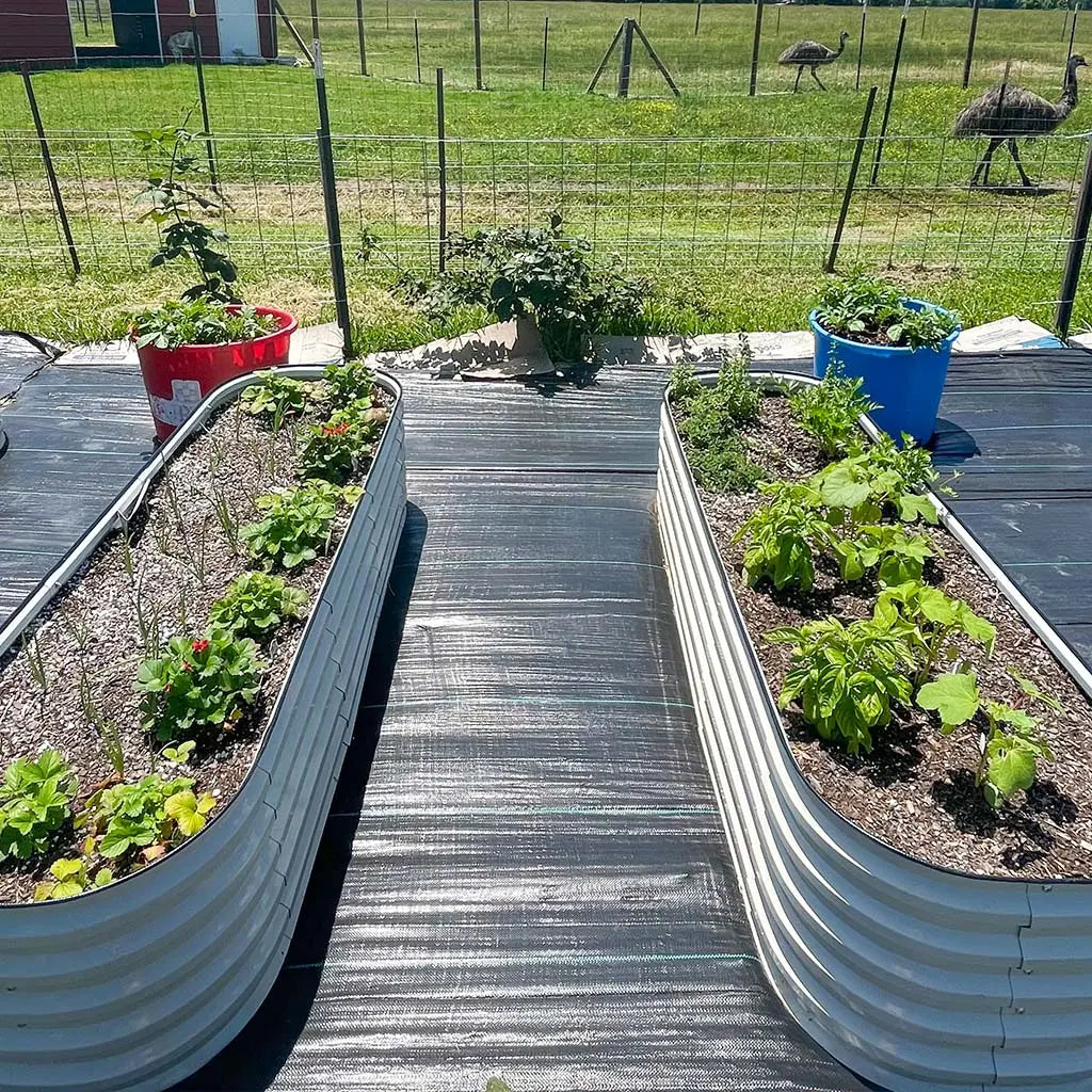 Vegega 17'' Tall 6.5'x2' Modern Raised Garden Bed (6 in 1) v2.0