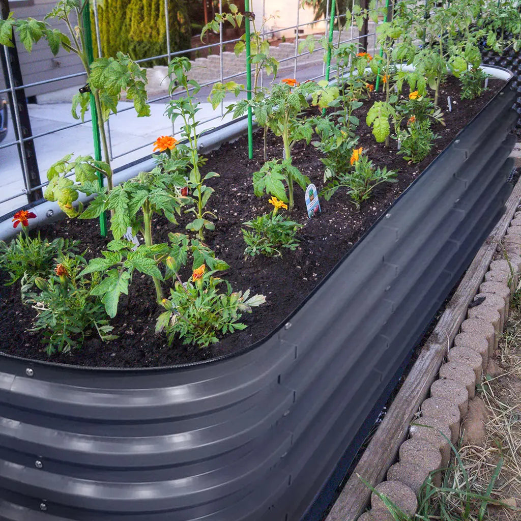 Vegega 17'' Tall 6.5'x2' Modern Raised Garden Bed (6 in 1) v2.0