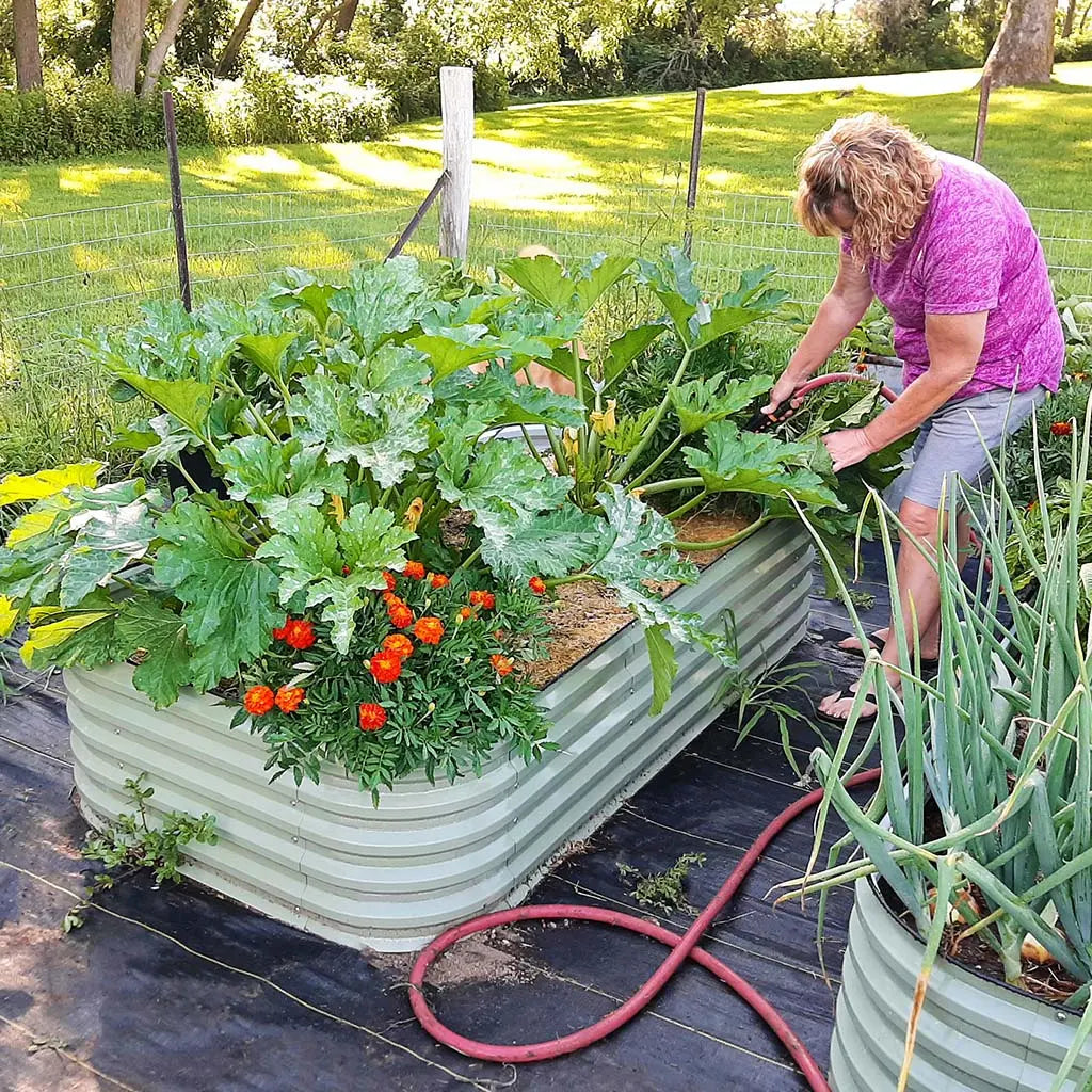 Vegega 17'' Tall 8x2 Metal Raised Garden Beds (9 in 1) v2.0