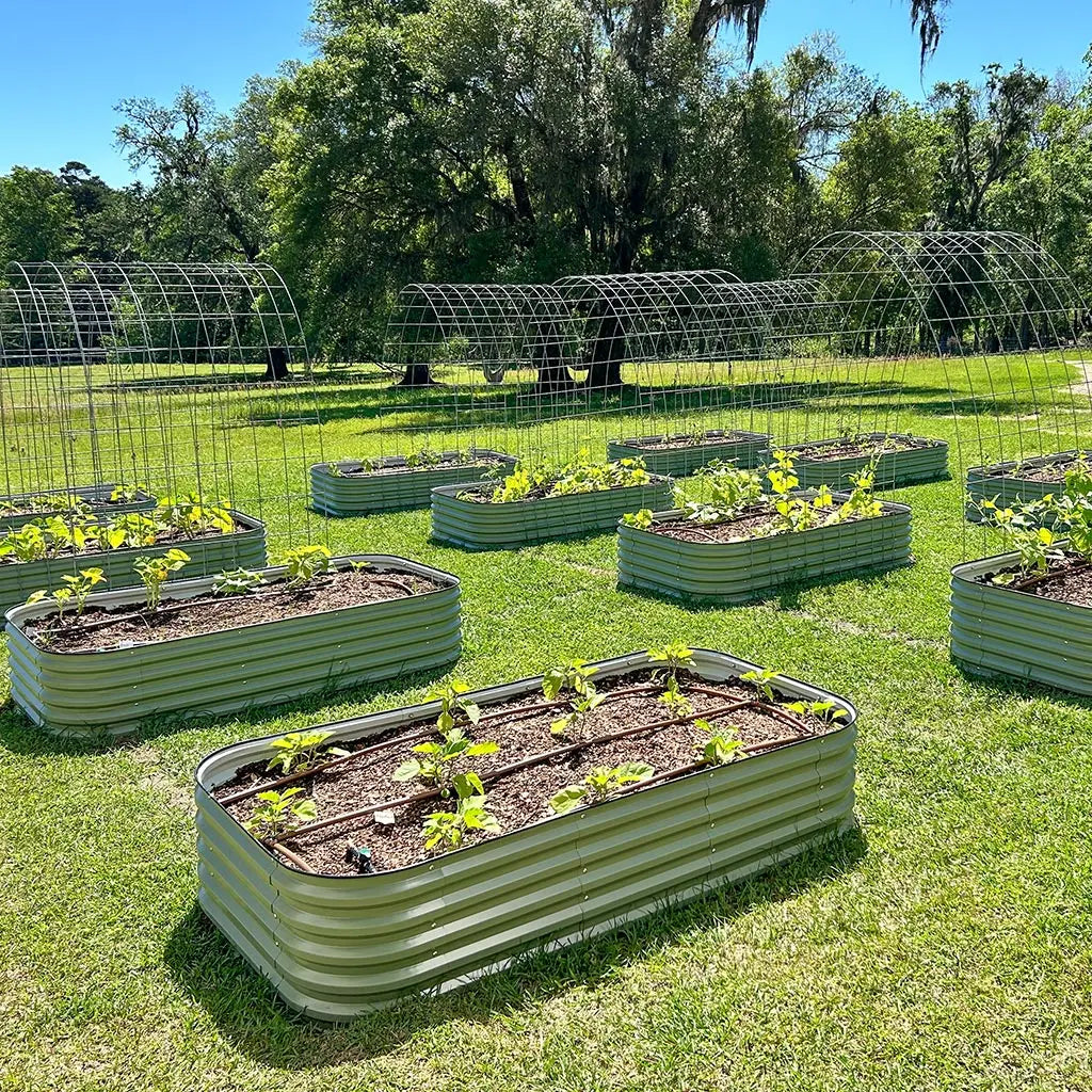Vegega 17'' Tall 8x2 Metal Raised Garden Beds (9 in 1) v2.0