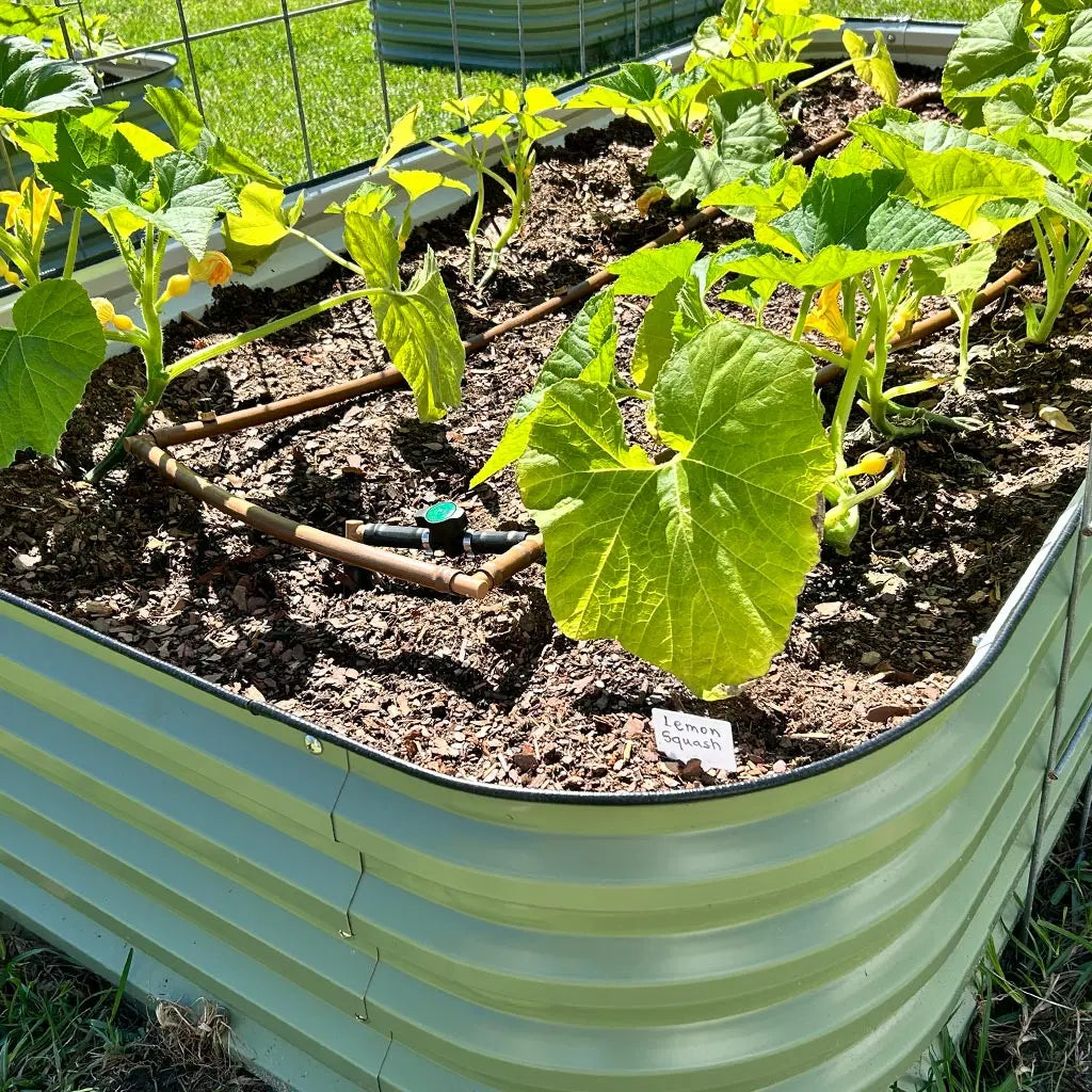 Vegega 17'' Tall 8x2 Metal Raised Garden Beds (9 in 1) v2.0