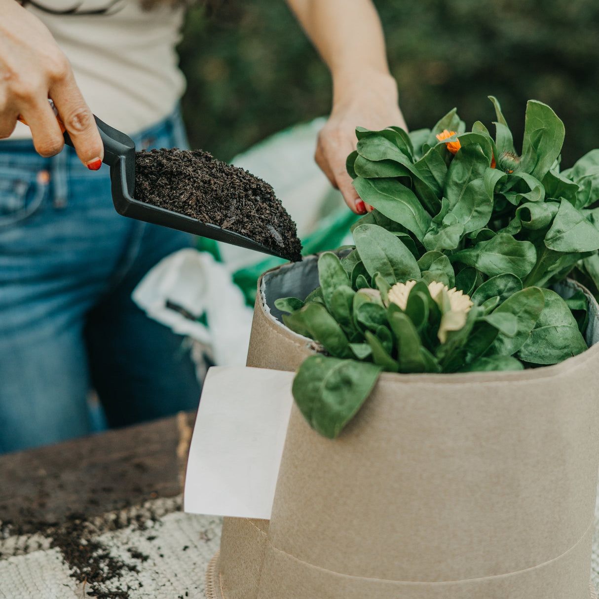 Grassroots Living Soil Fabric Pot