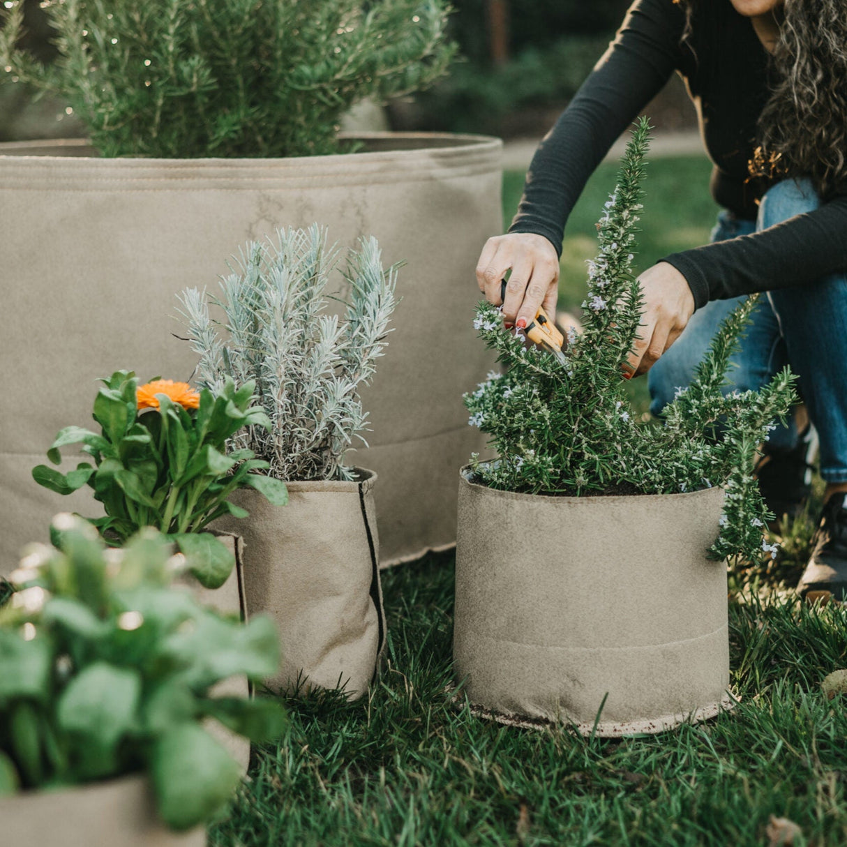Grassroots Living Soil Fabric Pot