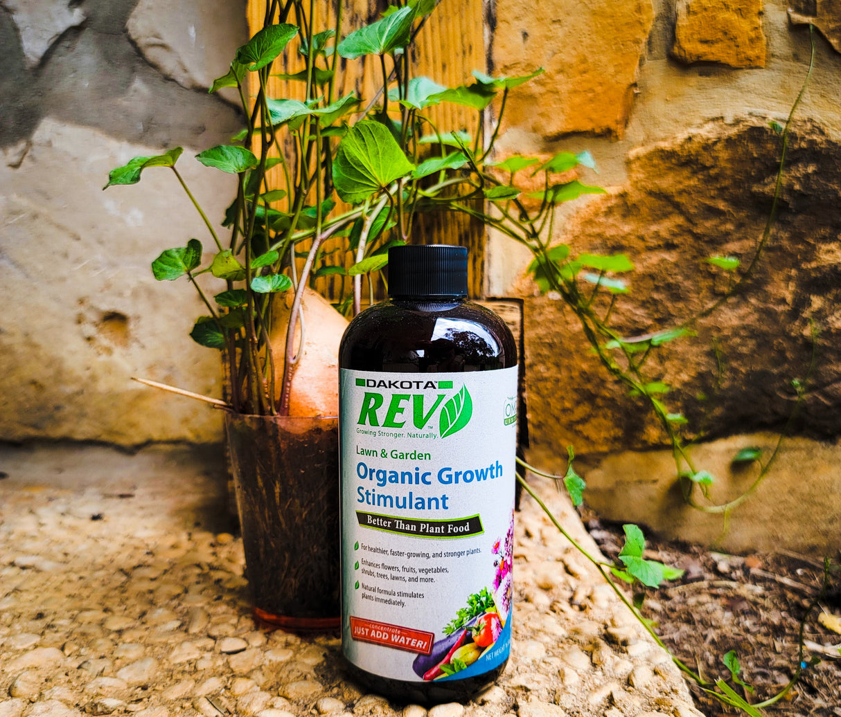 Organic REV Liquid Plant Food 16oz – Plant Growth Enhancer with Humates & Microbes