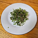 Kalefetti Mix Kale Microgreens Seeds with Grow Mat