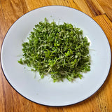 Basil Lemon Microgreens Seeds with Grow Mat