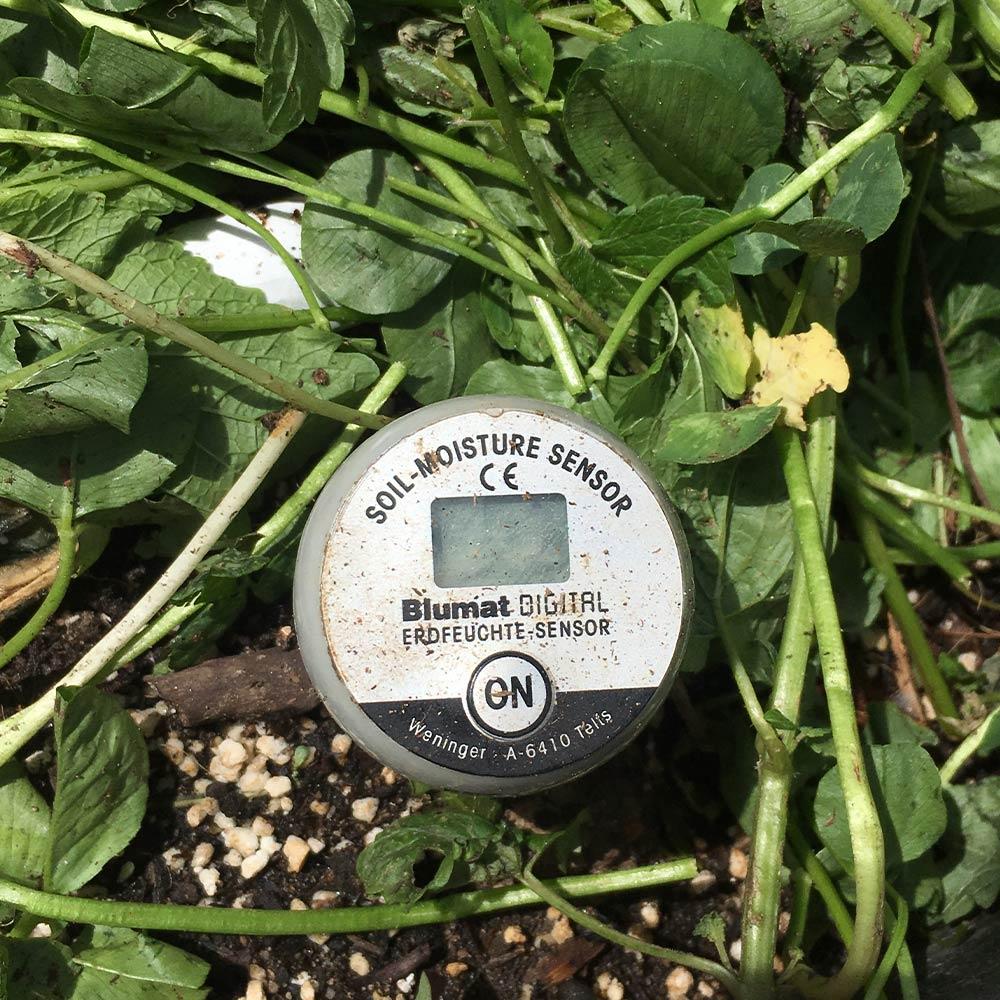Blumat Digital Soil Moisture Meter With Cap