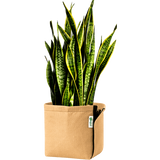 GeoPot Velcro Transplanter Grow Bags - Tan