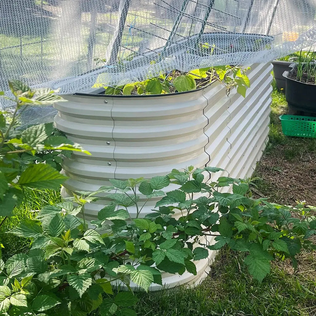 Vegega 32'' Tall 8x2 Galvanized Raised Garden Bed Kit (9 in 1) v2.0