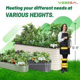 Vegega 32'' Tall 8x2 Galvanized Raised Garden Bed Kit (9 in 1) v2.0